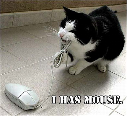 Cat with Mouse