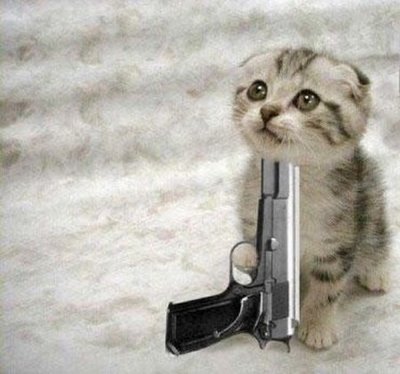 Suicide Kitty